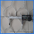 (PVC / quente / elétrico) Gabion Wire Mesh (6 * 8 8 * 10)